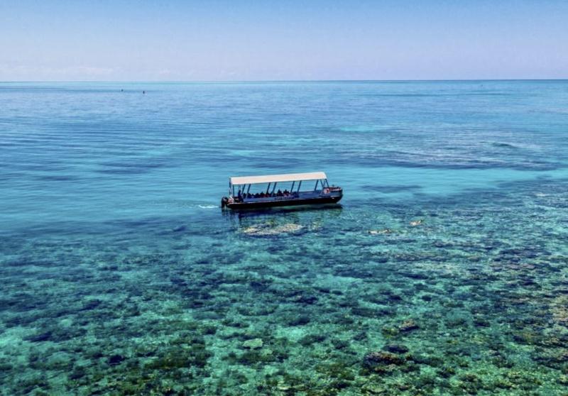 Outer and Coral Cay Snorkel and Dive Cruise