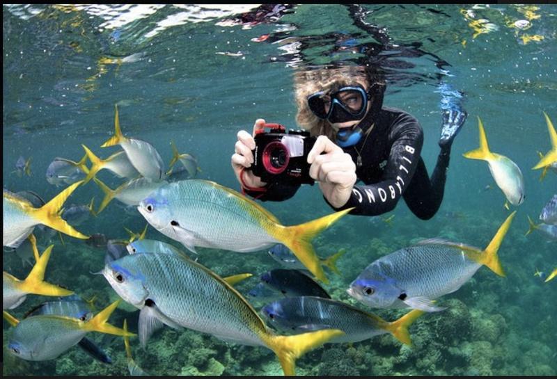 Sunlover Reef Cruises Cairns Great Barrier Reef Experience