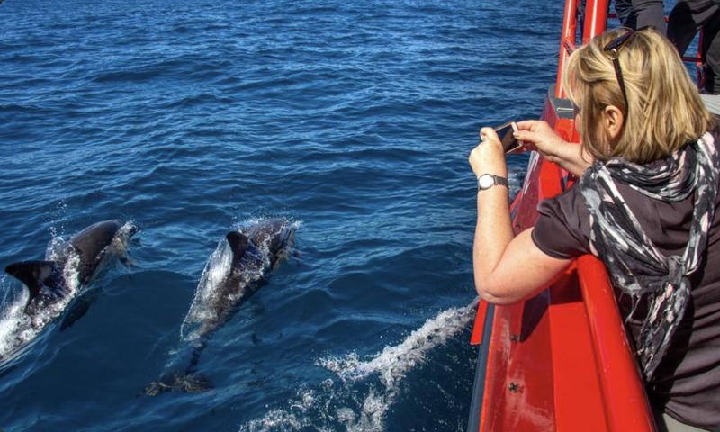 Port Stephens Cruise
