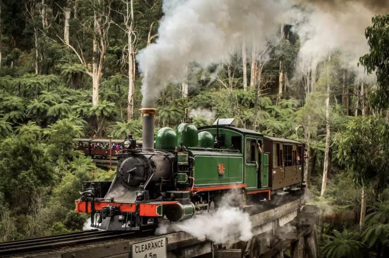 Puffing Billy Rail 