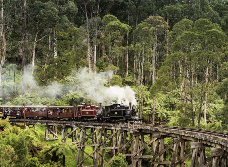 Puffing Billy Rail 