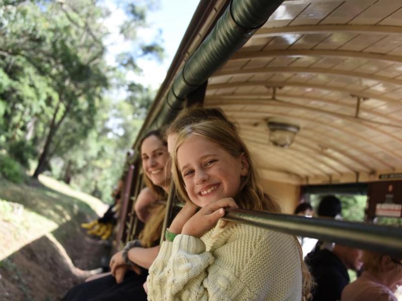 Puffing Billy Rail 