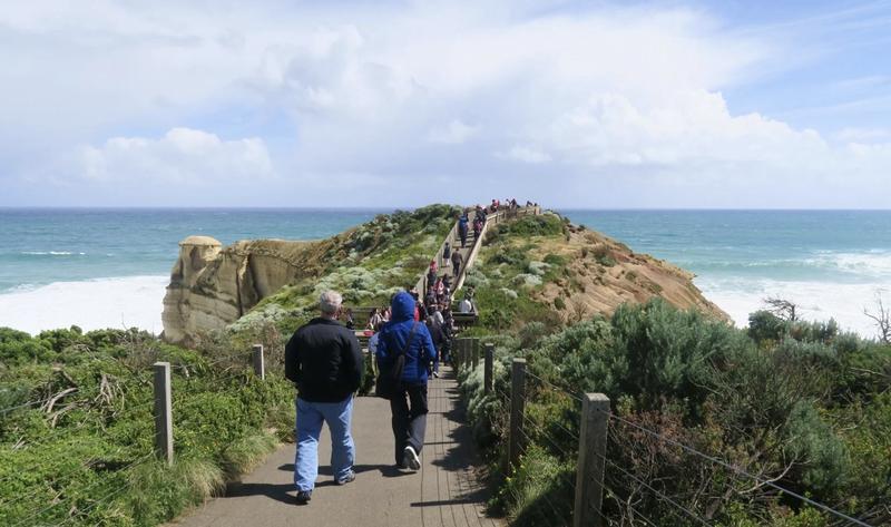 Great Ocean road  1day Tour