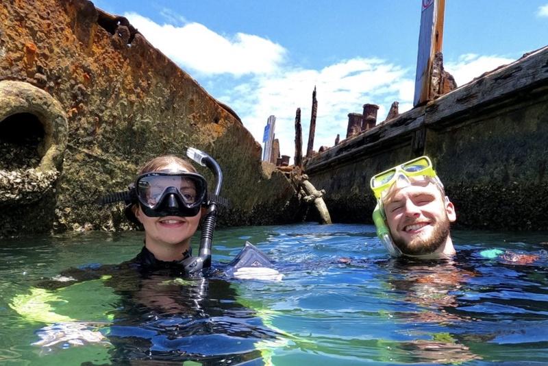 Brisbane or Gold Coast: Moreton Island Full-Day Trip