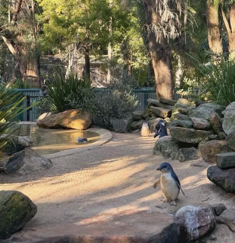 Featherdale Sydney Wildlife Park Entry Tickets