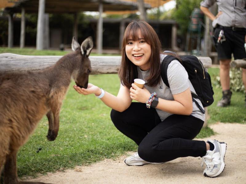 Sydney Private Blue Mt Tour