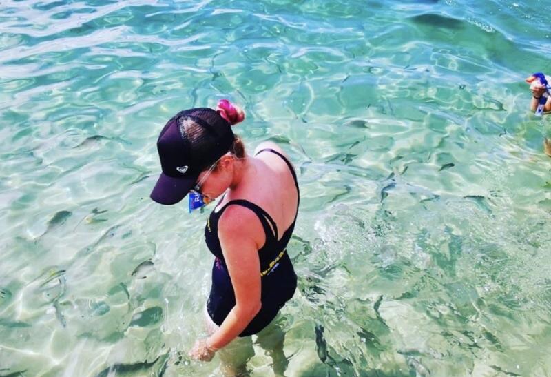 Gold Coast Morning Dolphin Kayaking and Snorkeling Tour