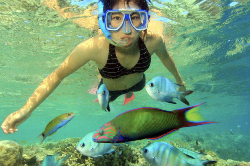 Great Barrier Reef Cruise to Hardy Reef Pontoon