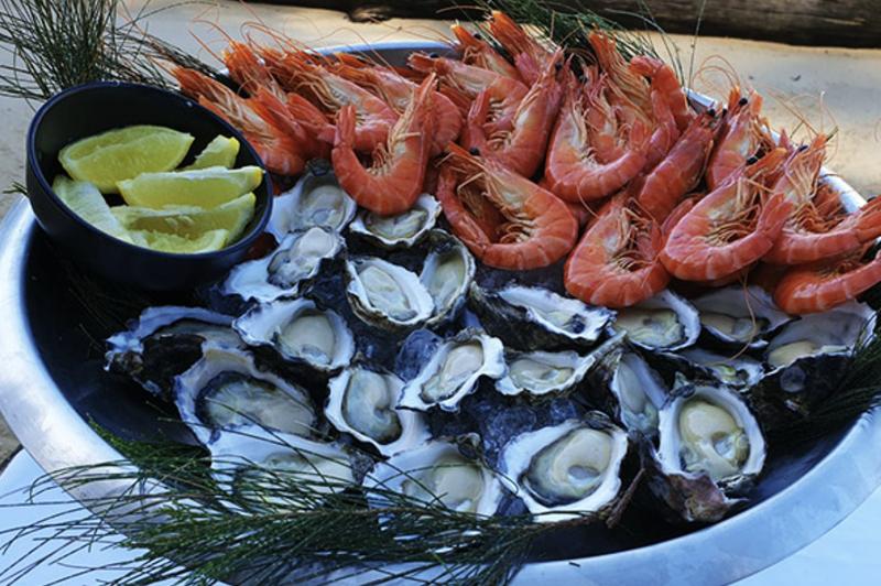 Dining and Oyster Farm Tour | Sydney