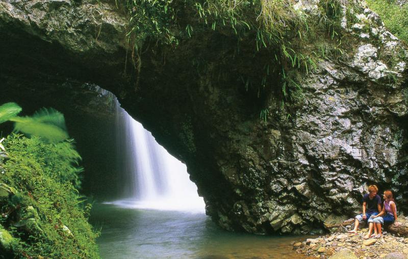 Natural Bridge Glow Worm Night Tour