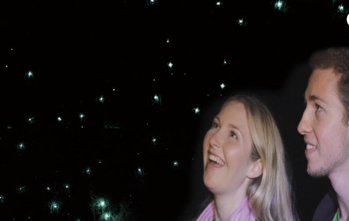 Natural Bridge Glow Worm Night Tour