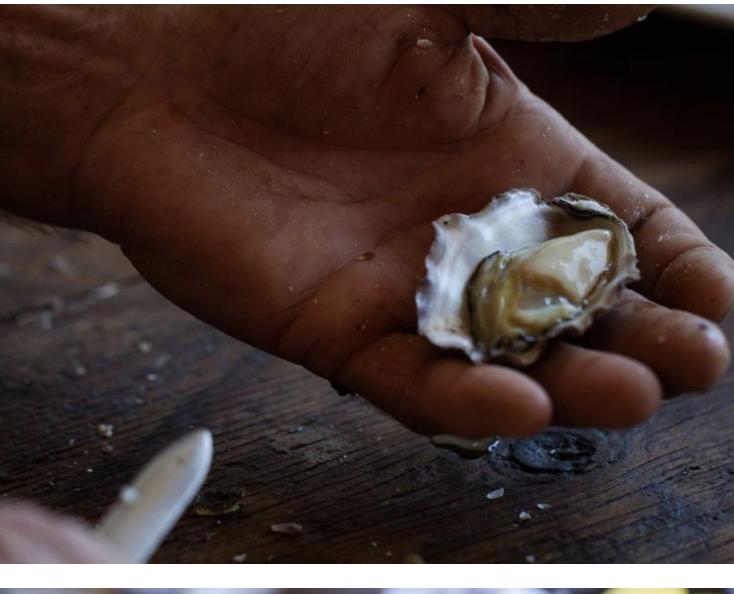 Pearl Farm Tour