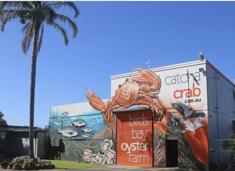 Gold Coast 1 Day Tour