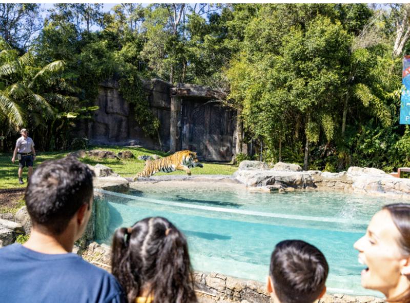 Gold Coast Dream world